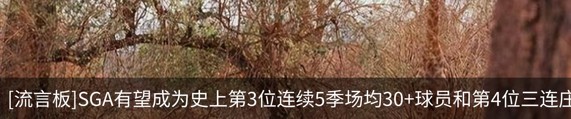 最新动态
